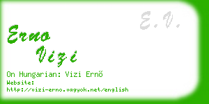 erno vizi business card